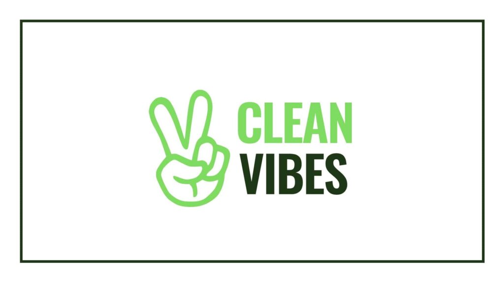 clean-vibes-logo