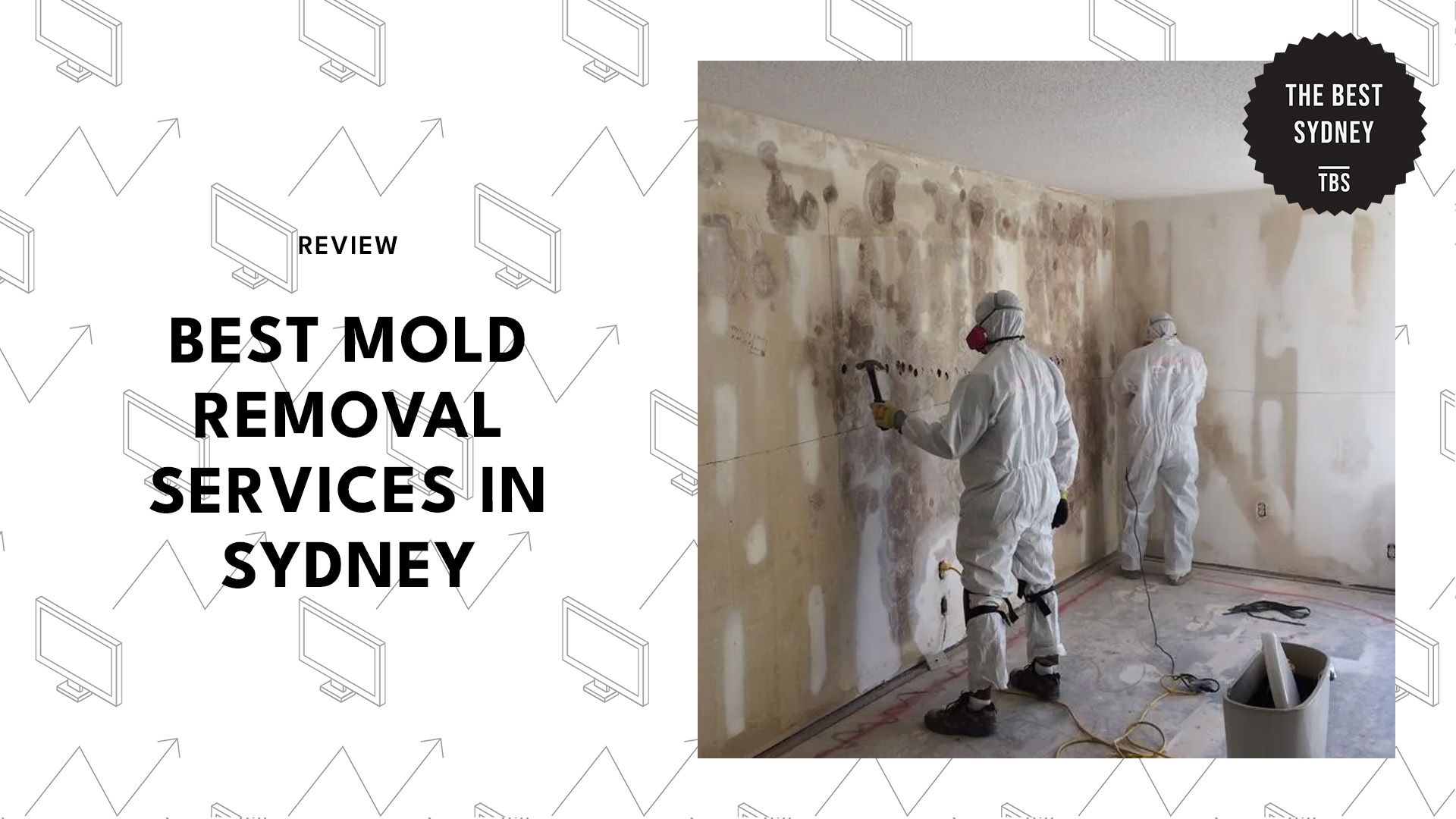 best-mold-removal-sydney-banner