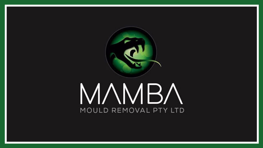 mamba-mould-removal-logo