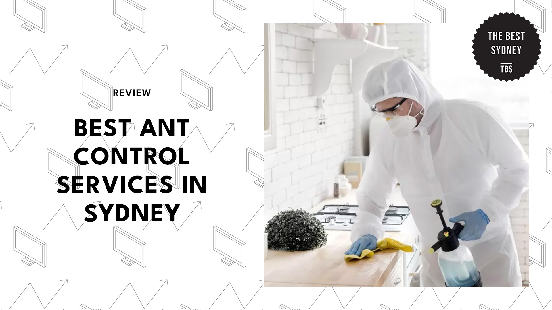 best-ant-control-sydney-banner