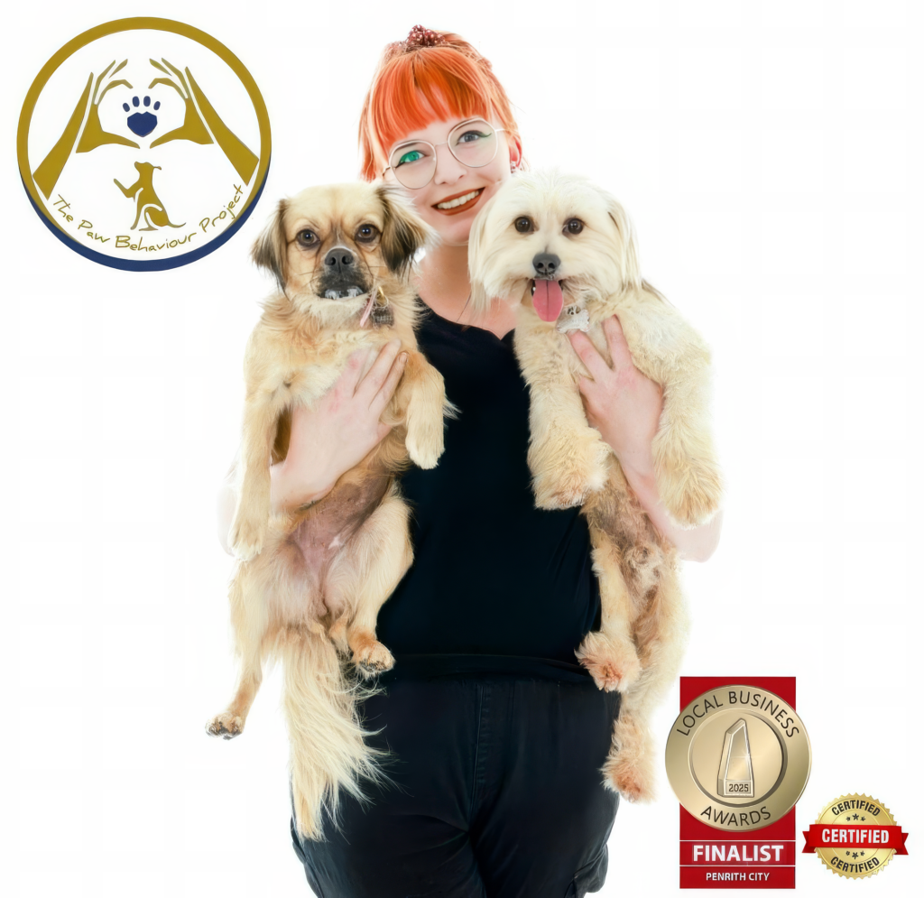 the paw behaviour project banner