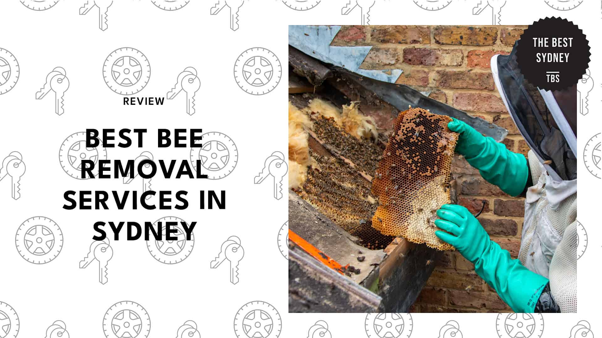 bee-removal-in-sydney