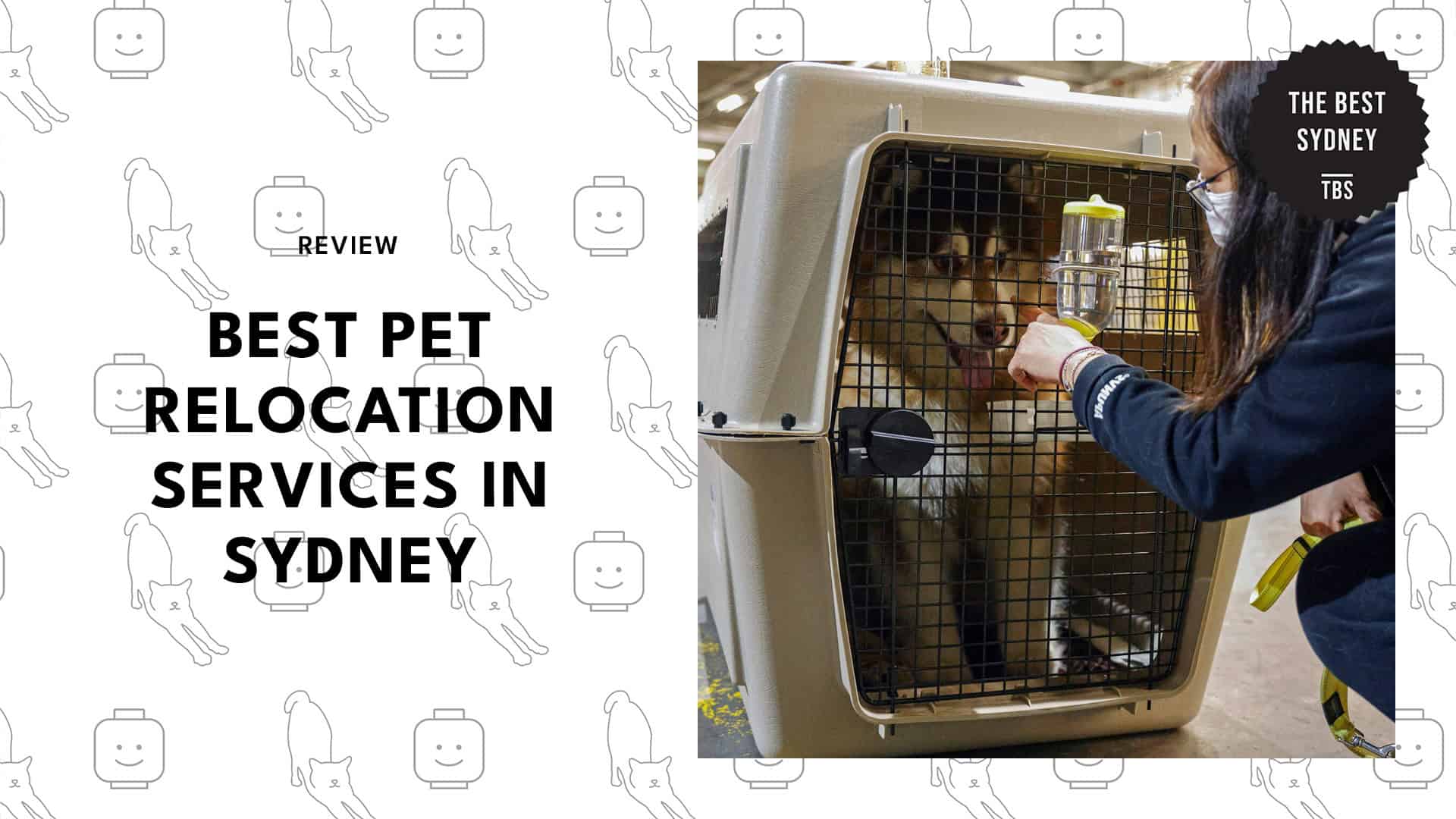 best-pet-relocation-sydney-banner