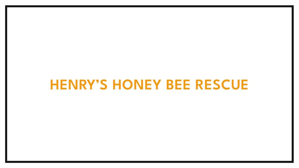 henry-s-honey-bee-rescue
