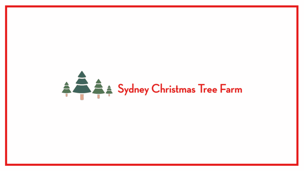 sydney-christmas-tree-farm