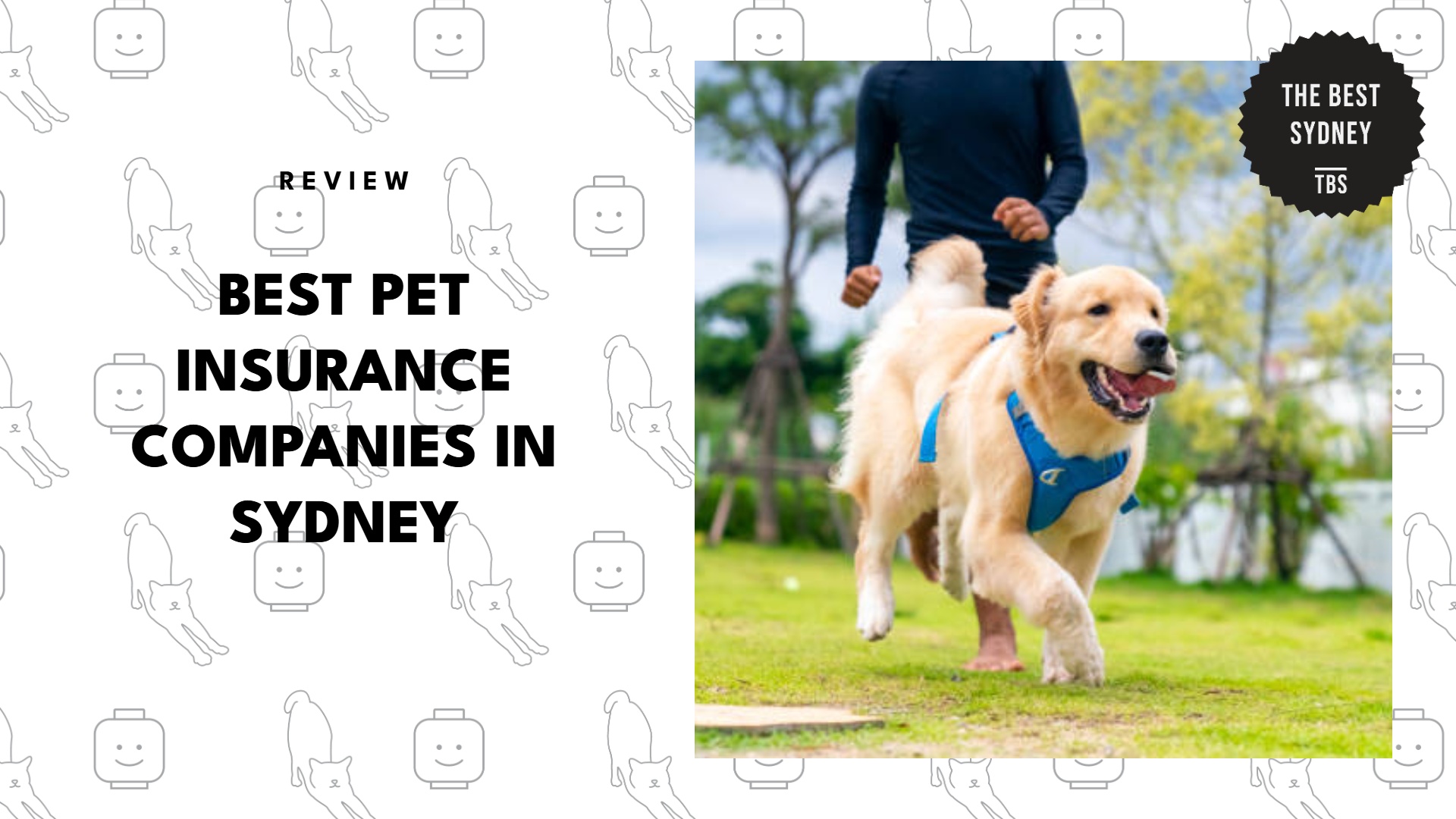 best-pet-insurance-sydney-banner