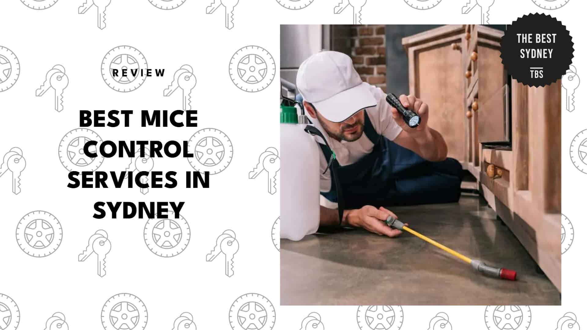 best-mice-control-sydney